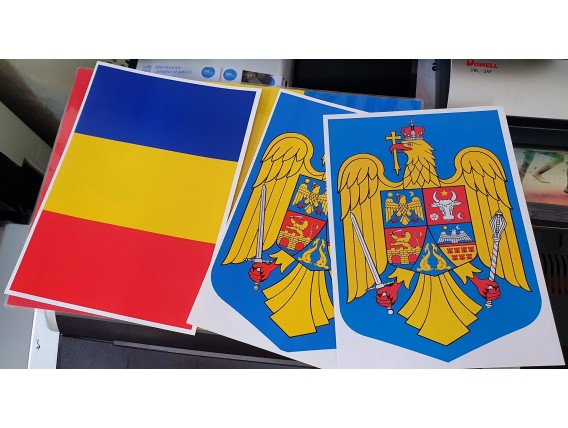  Stema României și Steag