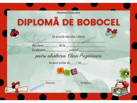 A_2304 Diplomă Bobocel clasa Pregătitoare