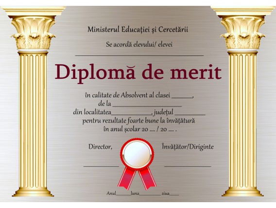A_35 Diploma de merit
