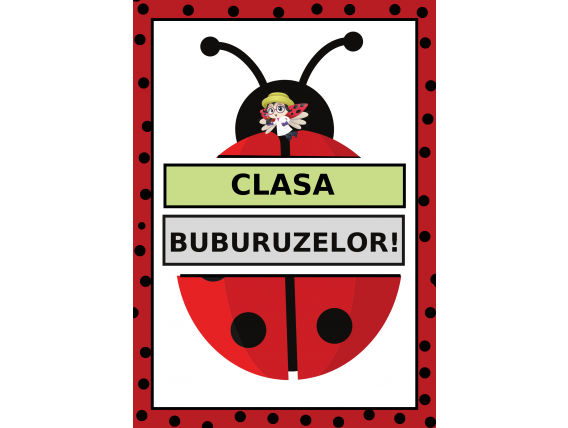 Clasa buburuzelor, cod:PM056