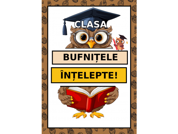 Clasa Bufnițele înțelepte, cod:PM060