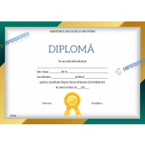 A_2313 Diploma Premiu Primar