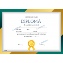 A_2314 Diploma Premiu Primar