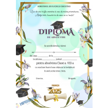 A_2416 Diploma de Absolvire