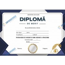 A_2421 Diploma de Merit