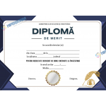 A_2417 Diploma de Merit