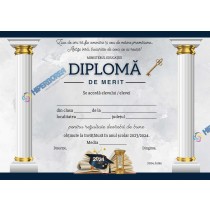 A_2422 Diploma de Merit