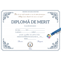 A_2528 Diplomă de merit - carton special