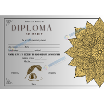 A_2335 Diploma de Merit