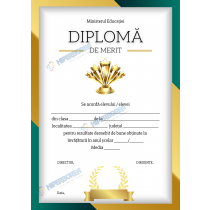 A_2336 Diploma de Merit