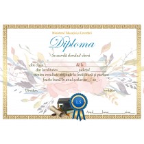 A_12  Diploma Premiu Primar
