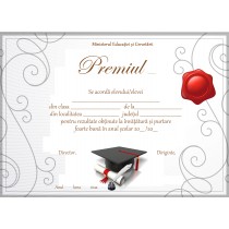 A_13 Diploma de acordare a premiului