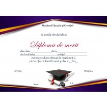 A_32 Diploma de merit