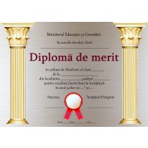 A_35 Diploma de merit