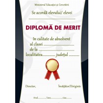 A_36 Diploma de merit