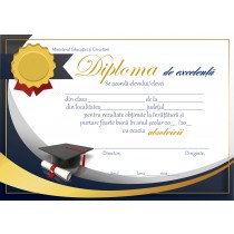 A_66 Diploma de excelenta