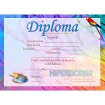 B_6 Diploma concurs