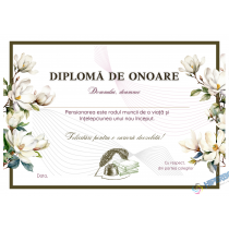 A_2541 Diplomă de Onoare - Cadru didactic – carton special