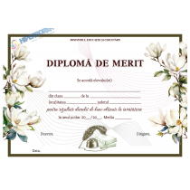 A_2526 Diplomă de merit - carton special