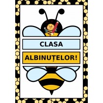 Clasa albinuțelor! 