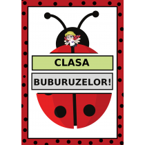 Clasa buburuzelor, cod:PM056