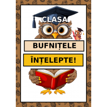 Clasa Bufnițele înțelepte, cod:PM060